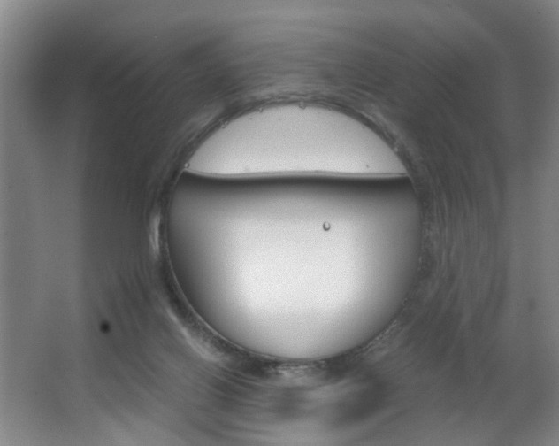 X0000063520070200601201136