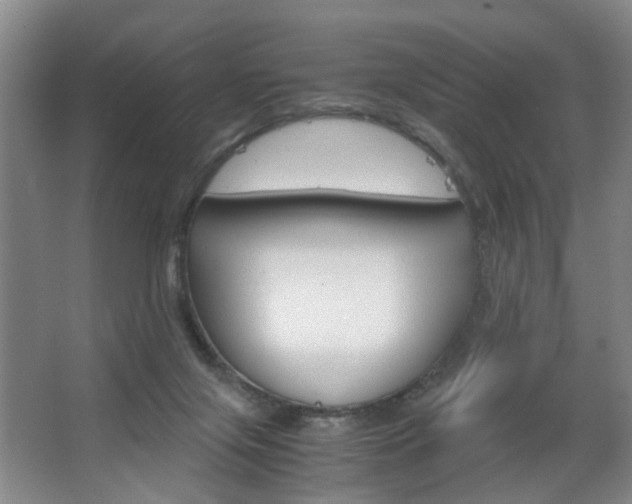 X0000063520071200601201136