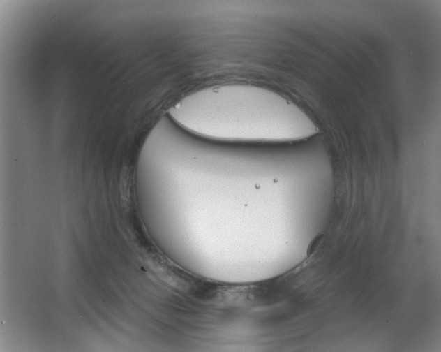 X0000063520078200601201136