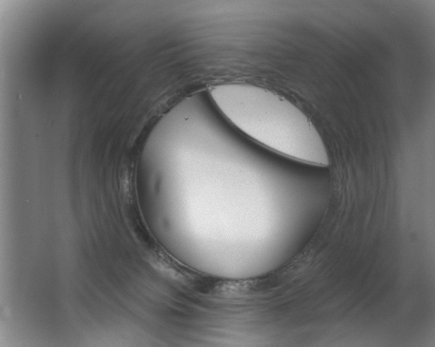 X0000063520084200601201136