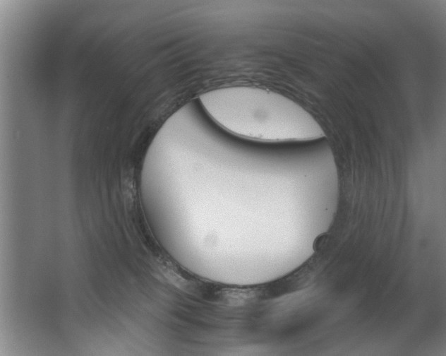 X0000063520085200601201136