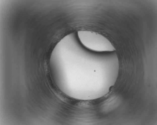 X0000063520086200601201136