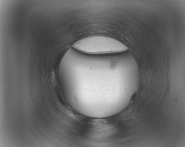 X0000063520087200601201136