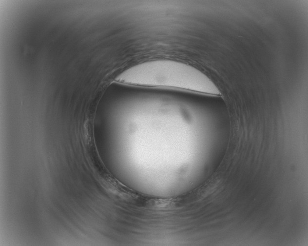 X0000063520088200601201136