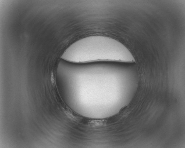 X0000063520089200601201136