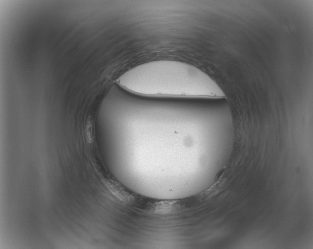 X0000063520090200601201136