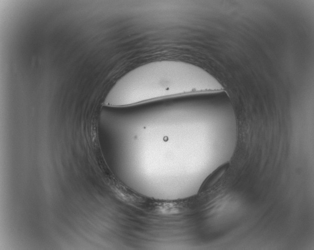 X0000063520091200601201136