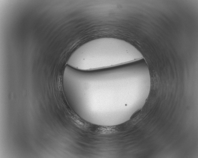 X0000063520093200601201137