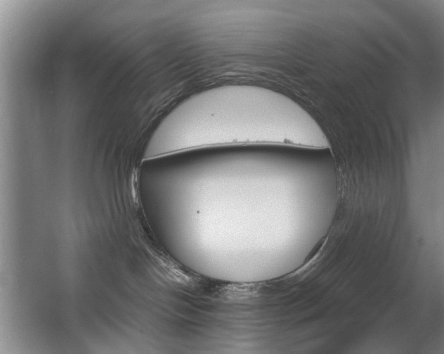 X0000063520094200601201137