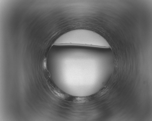 X0000063520095200601201137