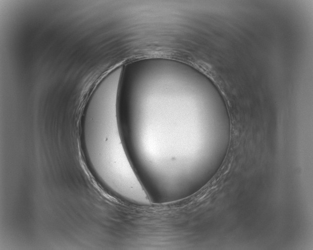 X0000063520097200601201136