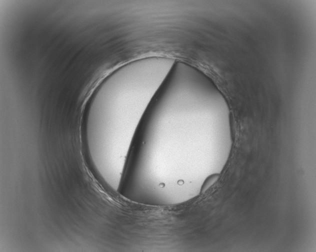 X0000063520098200601201136