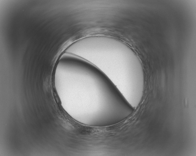 X0000063520099200601201136