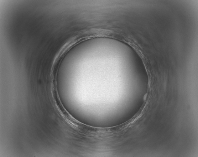 X0000063520101200601201136