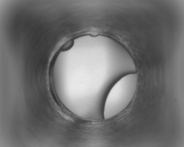 X0000063520102200601201136