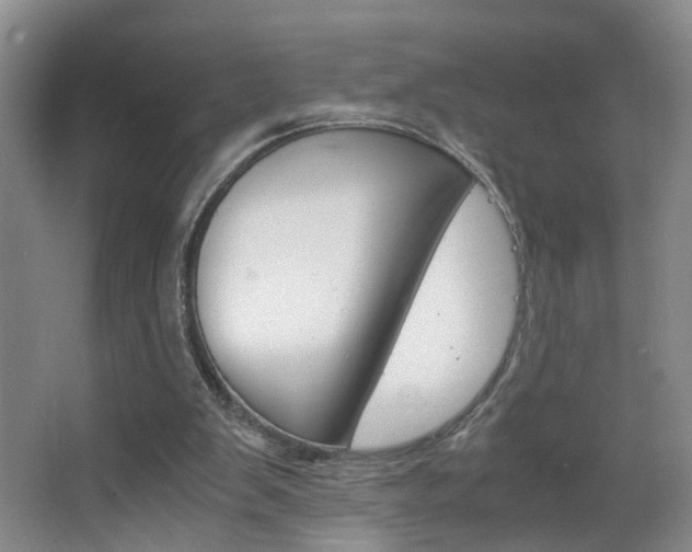 X0000063520103200601201136