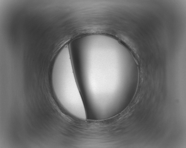 X0000063520105200601201136