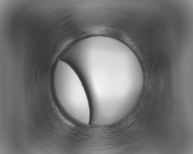 X0000063520106200601201136