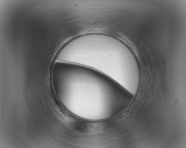 X0000063520107200601201136