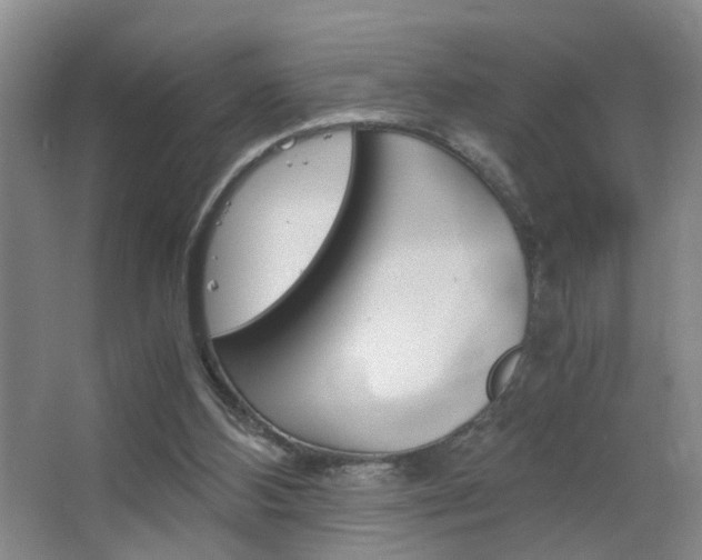 X0000063520108200601201136