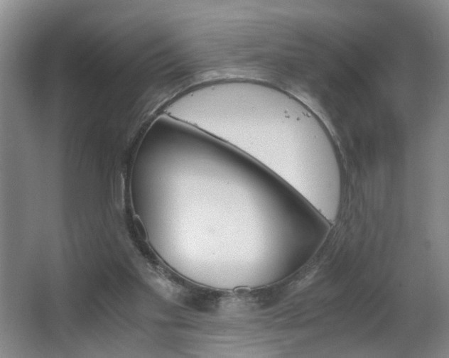 X0000063520109200601201136