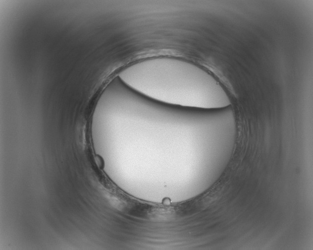 X0000063520110200601201136