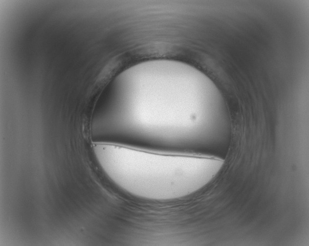 X0000063520119200601201135