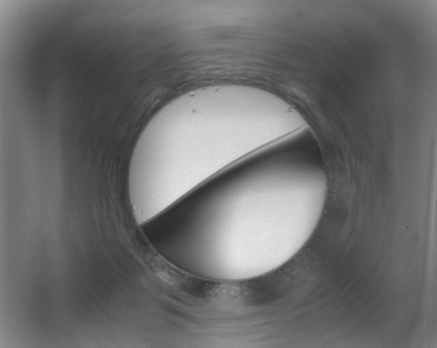 X0000063520123200601201135