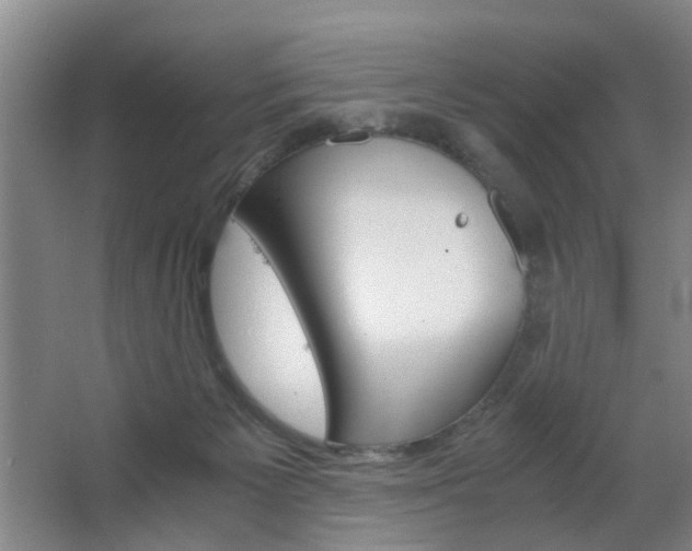 X0000063520125200601201135