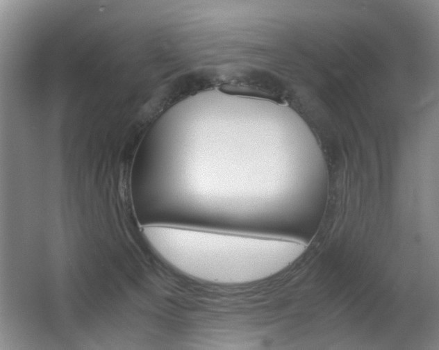 X0000063520129200601201135