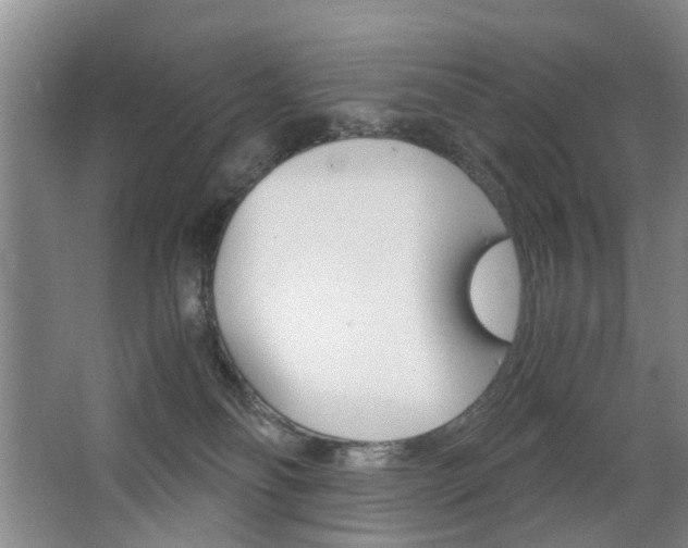 X0000063520134200601201135