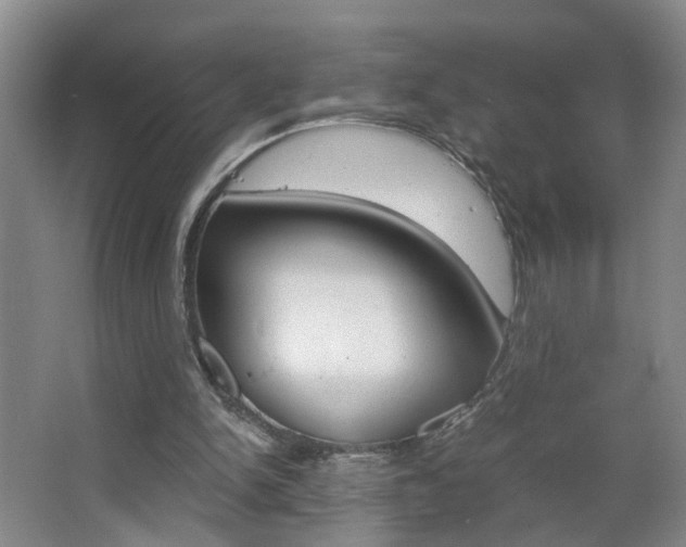 X0000063520150200601201134