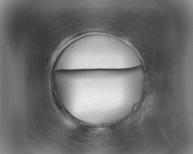 X0000063520151200601201134