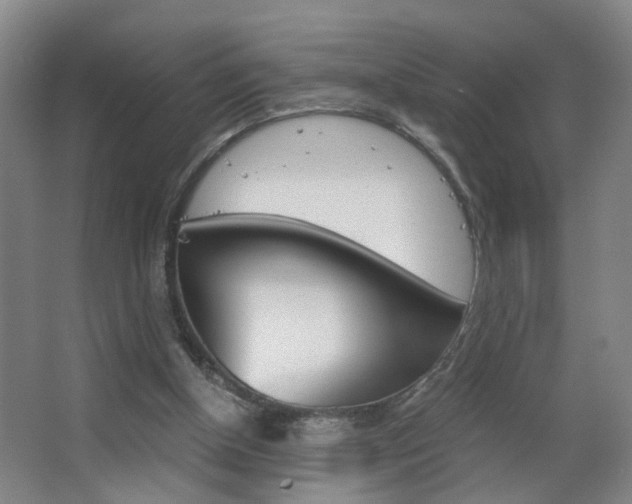 X0000063520154200601201134