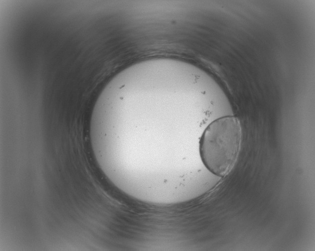 X0000063520162200601201134