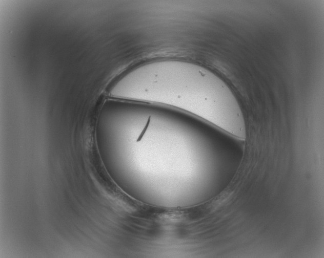 X0000063520164200601201134