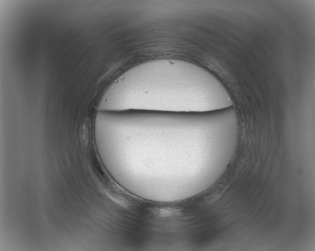 X0000063520165200601201134