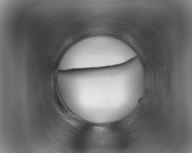 X0000063520167200601201134