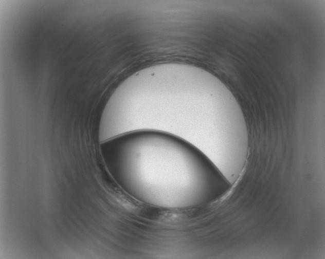 X0000063520174200601201135