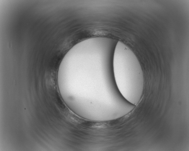 X0000063520175200601201135