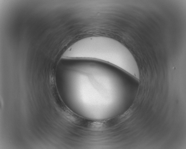 X0000063520176200601201135