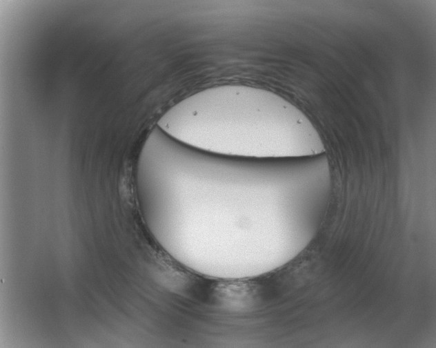 X0000063520181200601201135