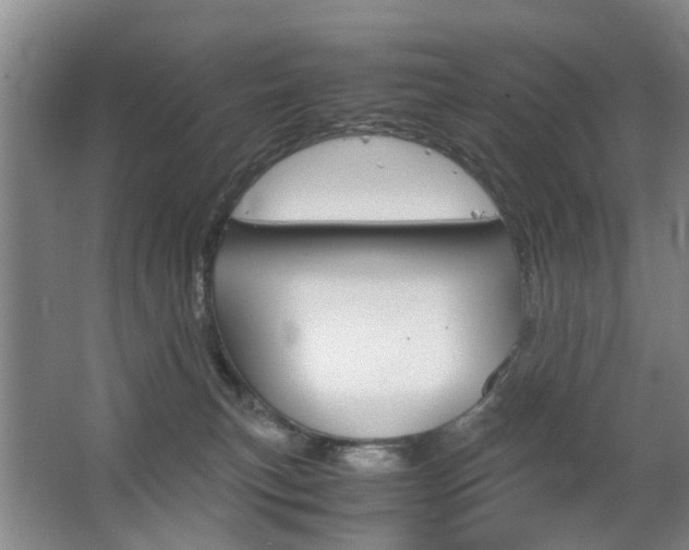 X0000063520183200601201135