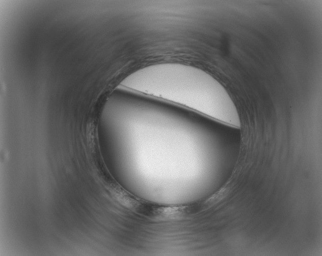 X0000063520184200601201135