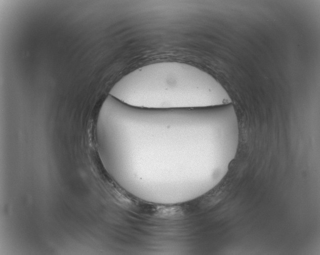 X0000063520185200601201135