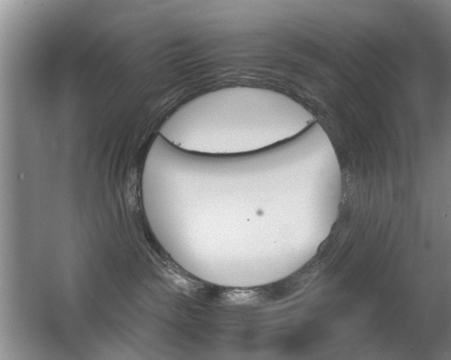 X0000063520189200601201135