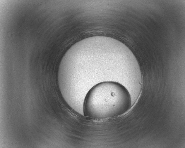 X0000063520190200601201135