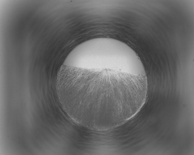 X0000063520191200601201135