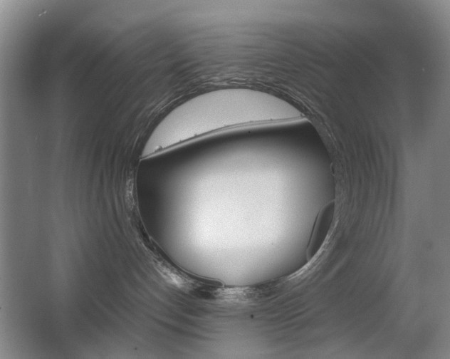 X0000063520192200601201135