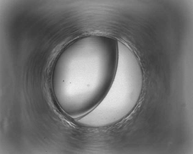 X0000063520193200601201134